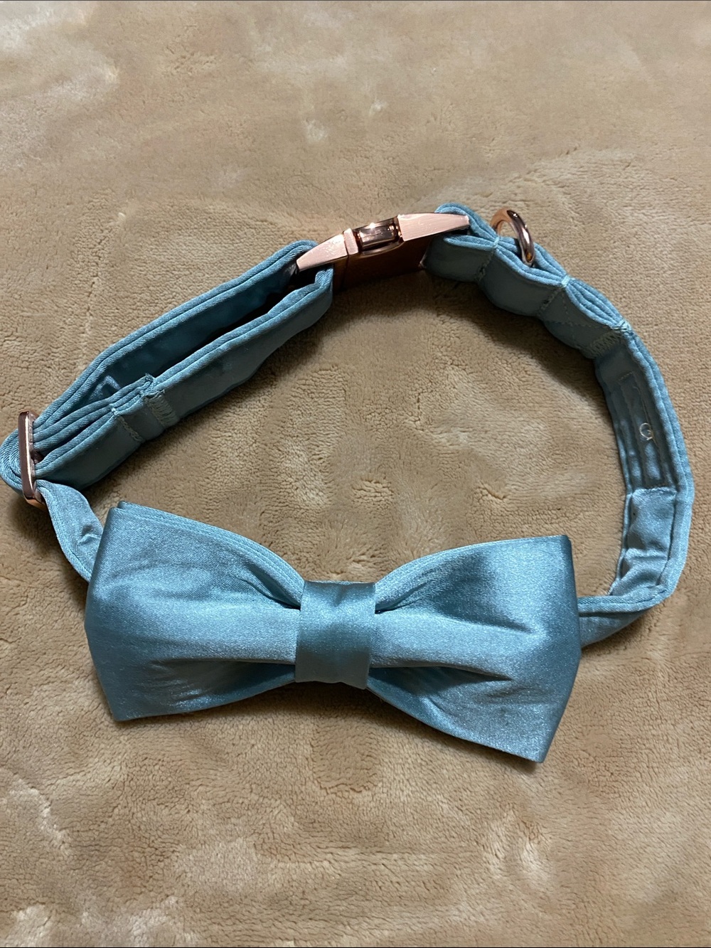 Light Blue Satin Bow Tie Dog Collar with Rose Gold Hardware